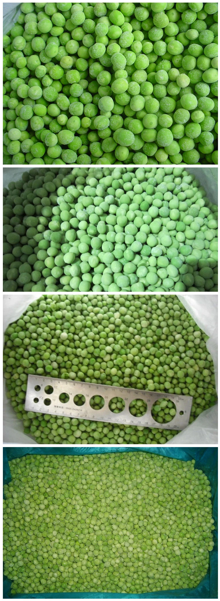The Newest High Quality IQF Frozen Whole Green Bean