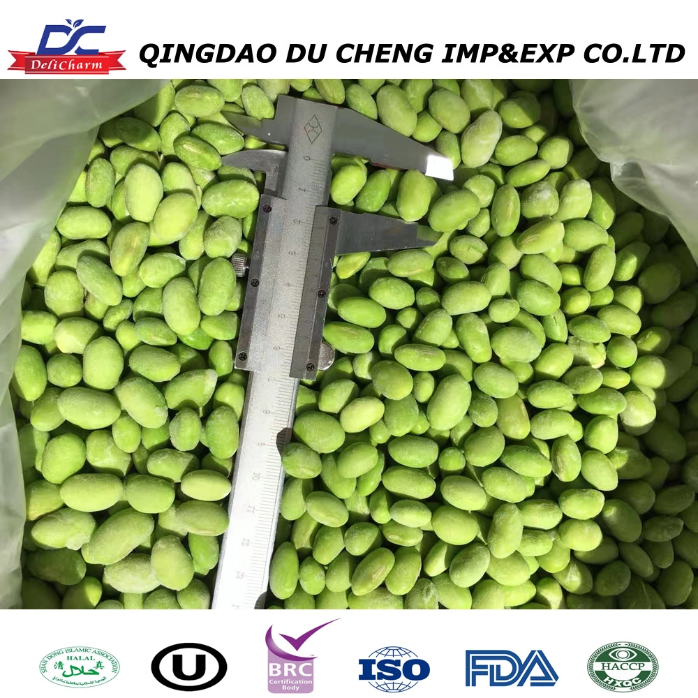 High Quality Best Price IQF Frozen Cut Green Bean