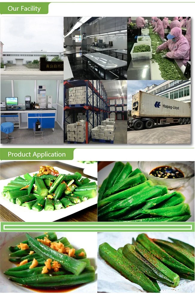 China Natural Frozen Whole Yellow Okra IQF Okra for EU Exported Standard