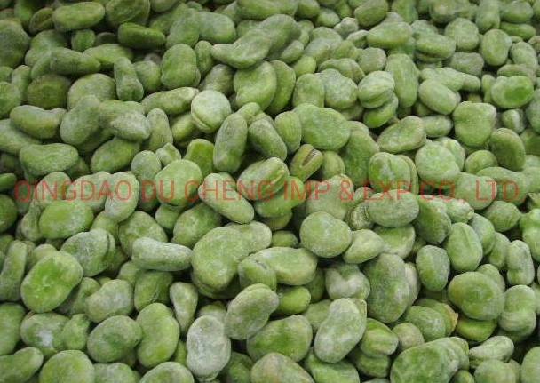 Dry Yellow Broad Beans, Frozen Green Broad Bean