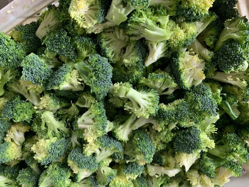 Health Non-Additive Fresh IQF Food Frozen Broccoli Flowers Vegtable