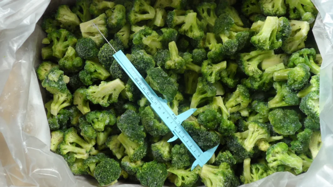 Wholesale Bulk IQF Frozen Broccoli