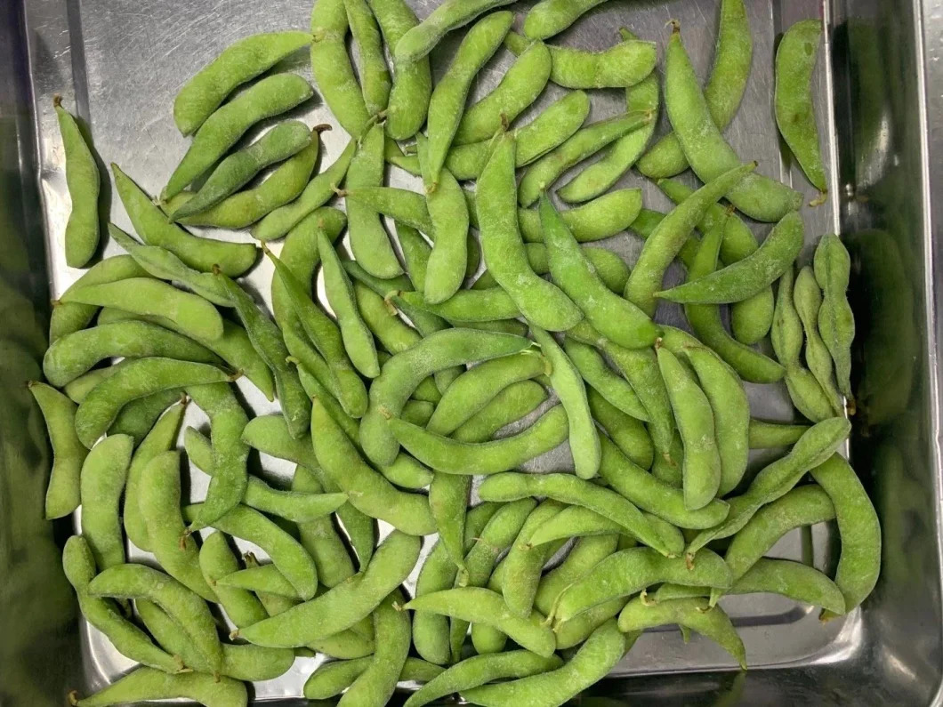 IQF Vegetsble Frozen Peeled Edamame From Factory Price
