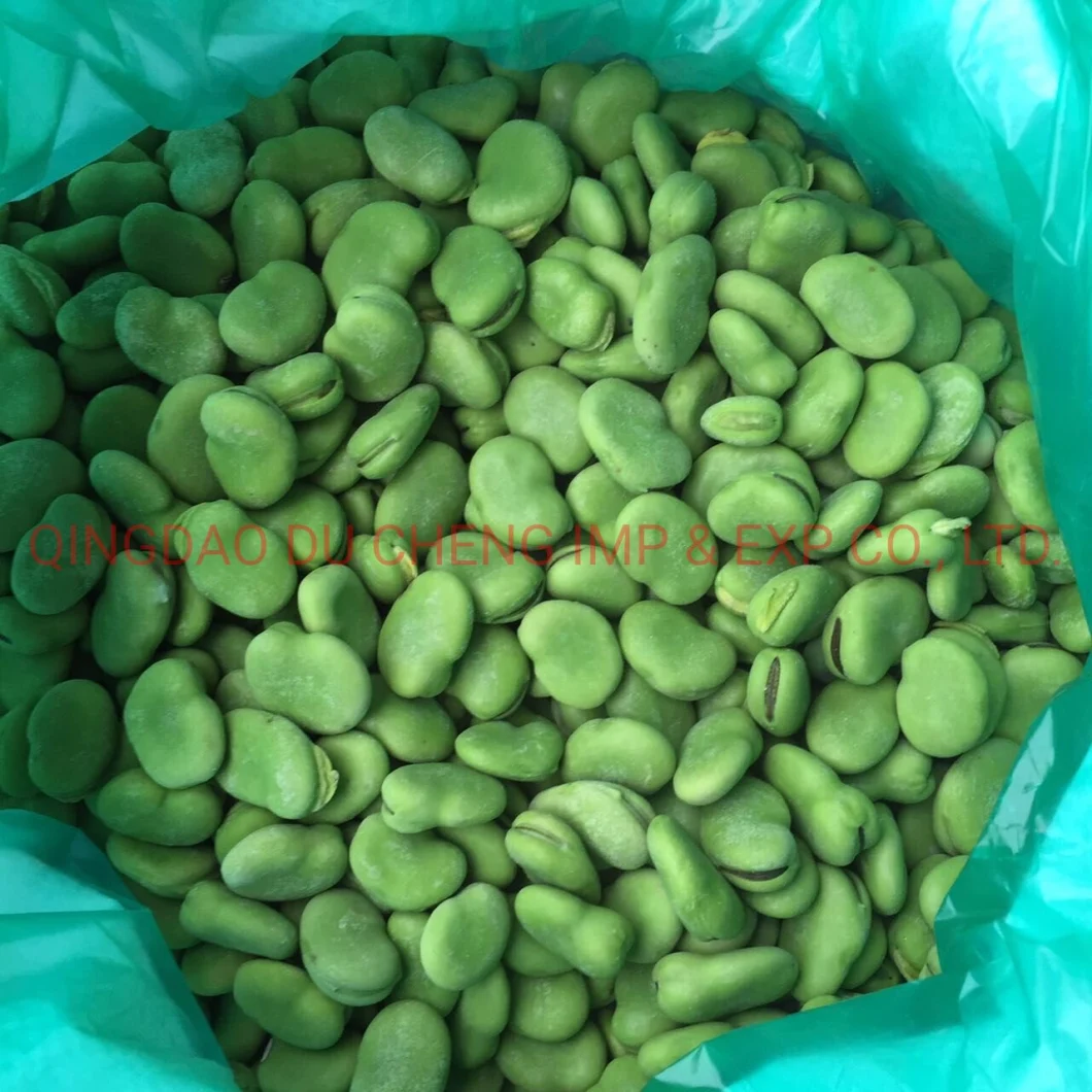 Bulk Green Fresh IQF Fava Peeled Frozen Broad Bean
