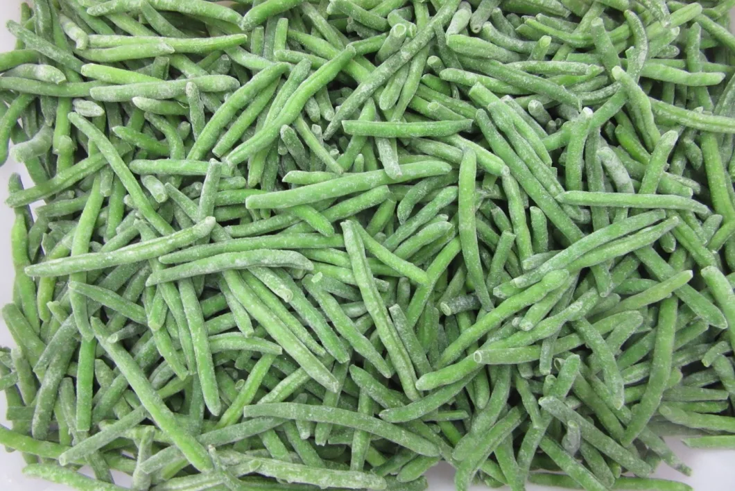 IQF Green Beans Frozen Green Beans IQF New Crop High Quality Green Beans