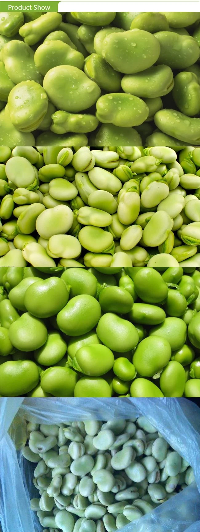 IQF Frozen Vegetable Fava Green Broad Beans with EU Standard for Exporting White Broad Beans Kernels
