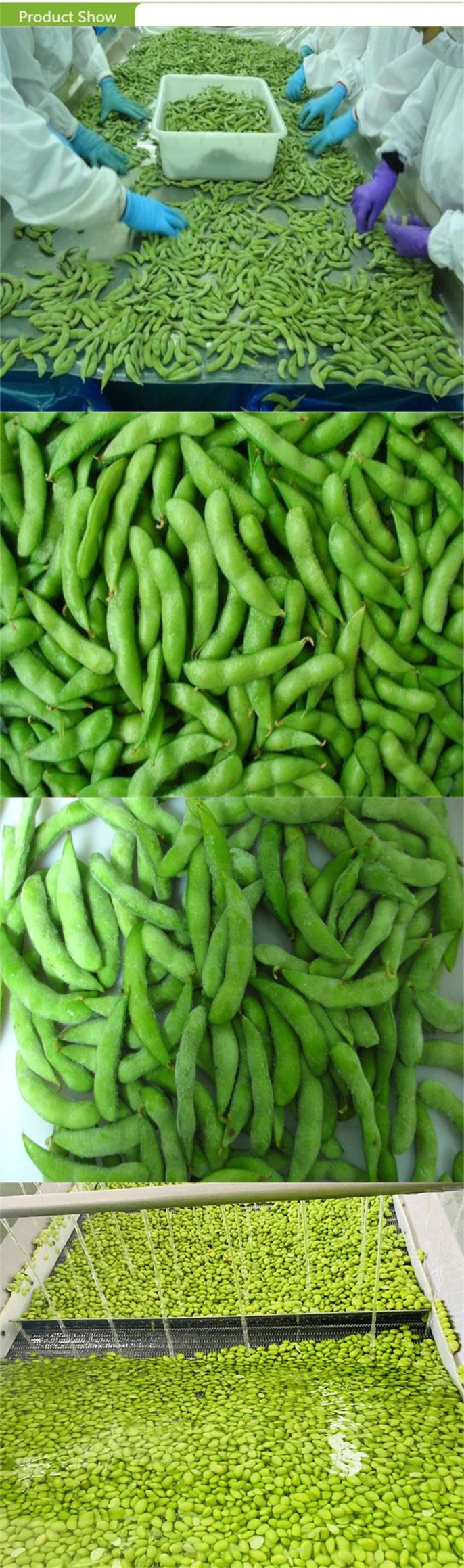 New Crop China IQF Frozen Vegetable Green Unshelled Soybean Edamame with Good Quality