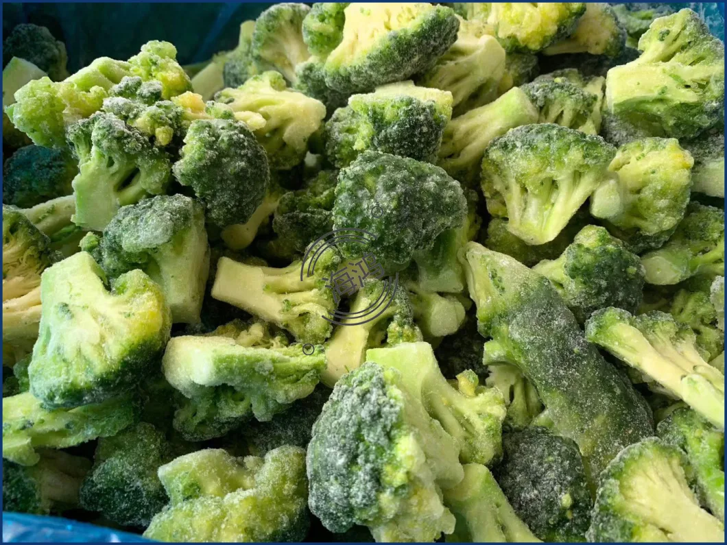 New Crop Frozen Broccoli Grade a Quality