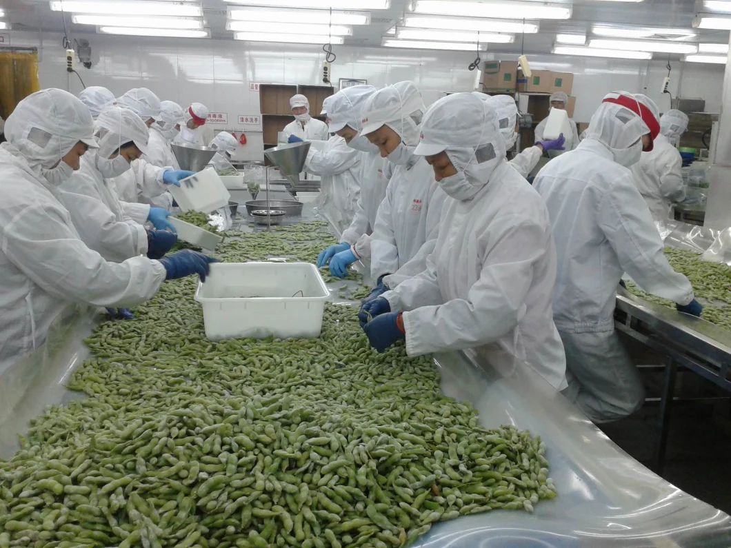Sinocharm Brc a Approved IQF Soybean Frozen Edamame Whole Pods
