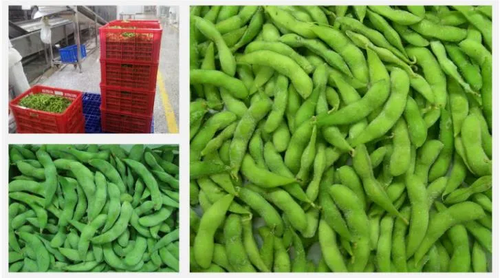 Wholesale Green Soy Been Frozen Edamame