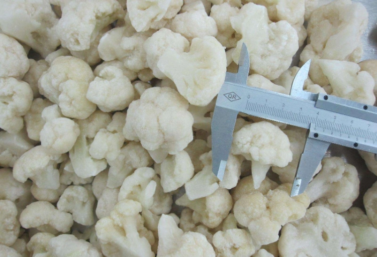 Nop EU Organic Frozen IQF Cauliflower Cut / Floret From China