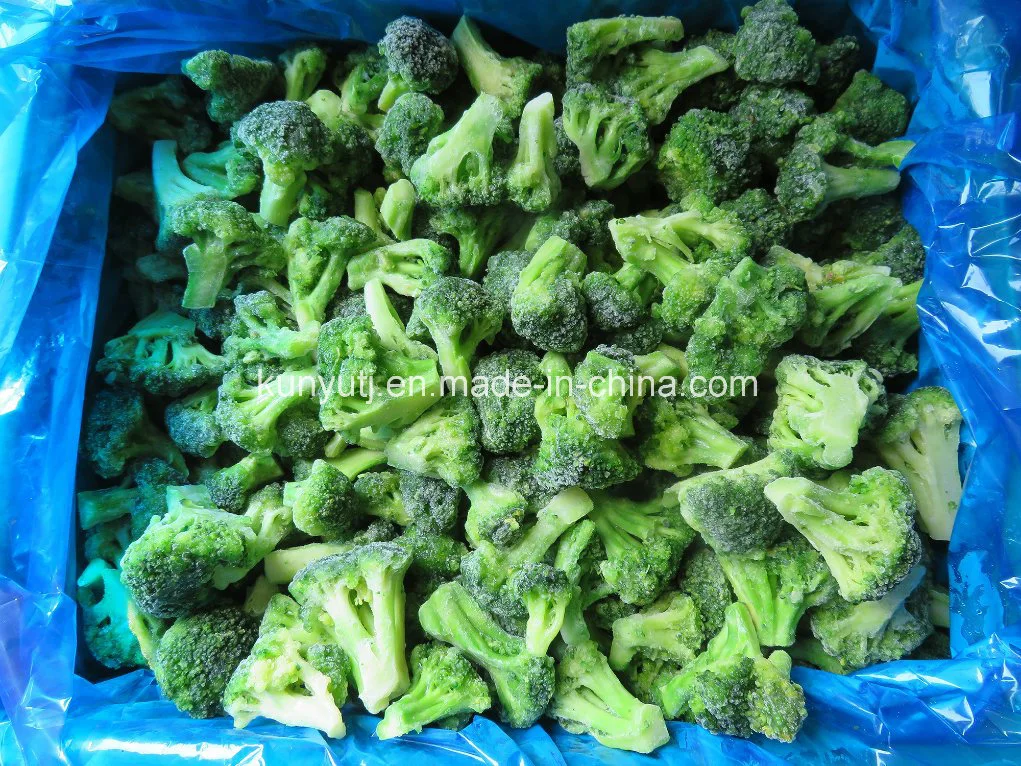 Frozen Broccoli with High Quality