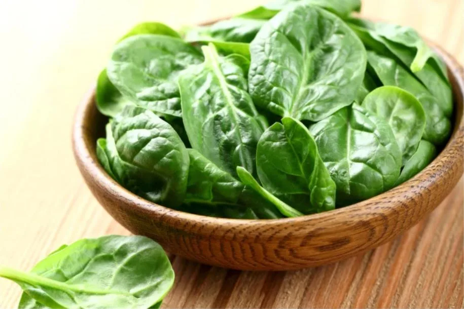 Chopped Spinach for Sale Frozen Spinach Vegetables Food Fruit Factory Price Spinach Hot Sell for Quantity Process