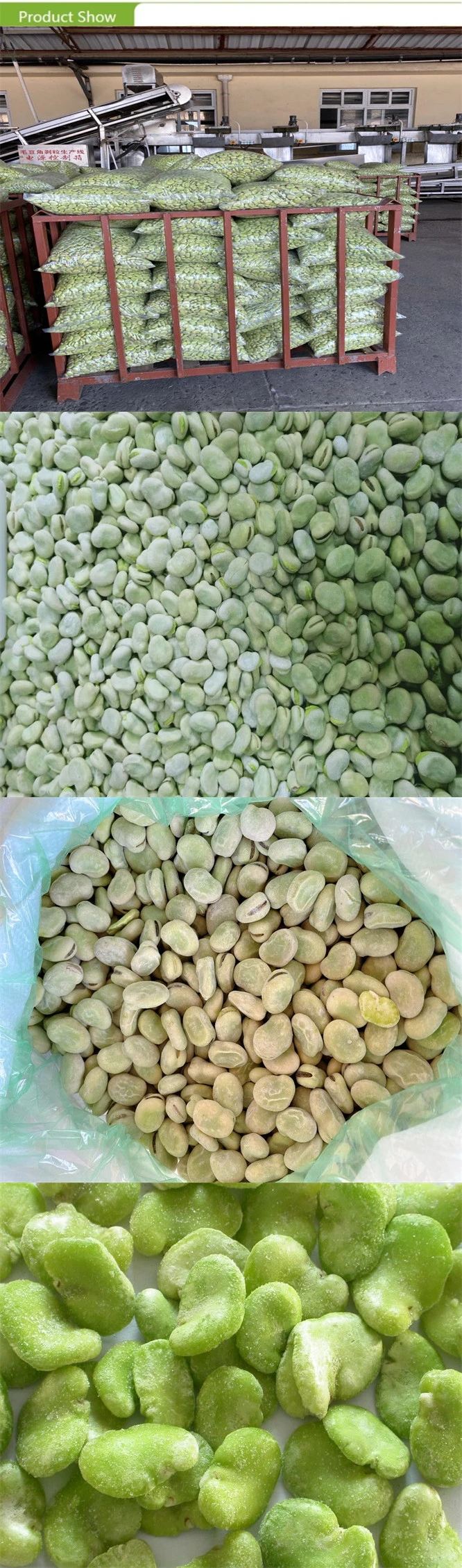Halal Brc ISO New Crop Frozen IQF Green Color Broad Beans with Factory Price Broad Beans Kernels in Bulk Carton Package Retail Packing
