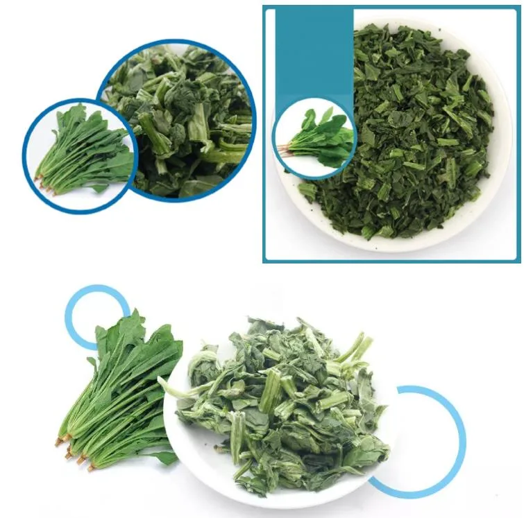 Hot Sale Nature Color Fresh IQF Frozen Chopped Spinach