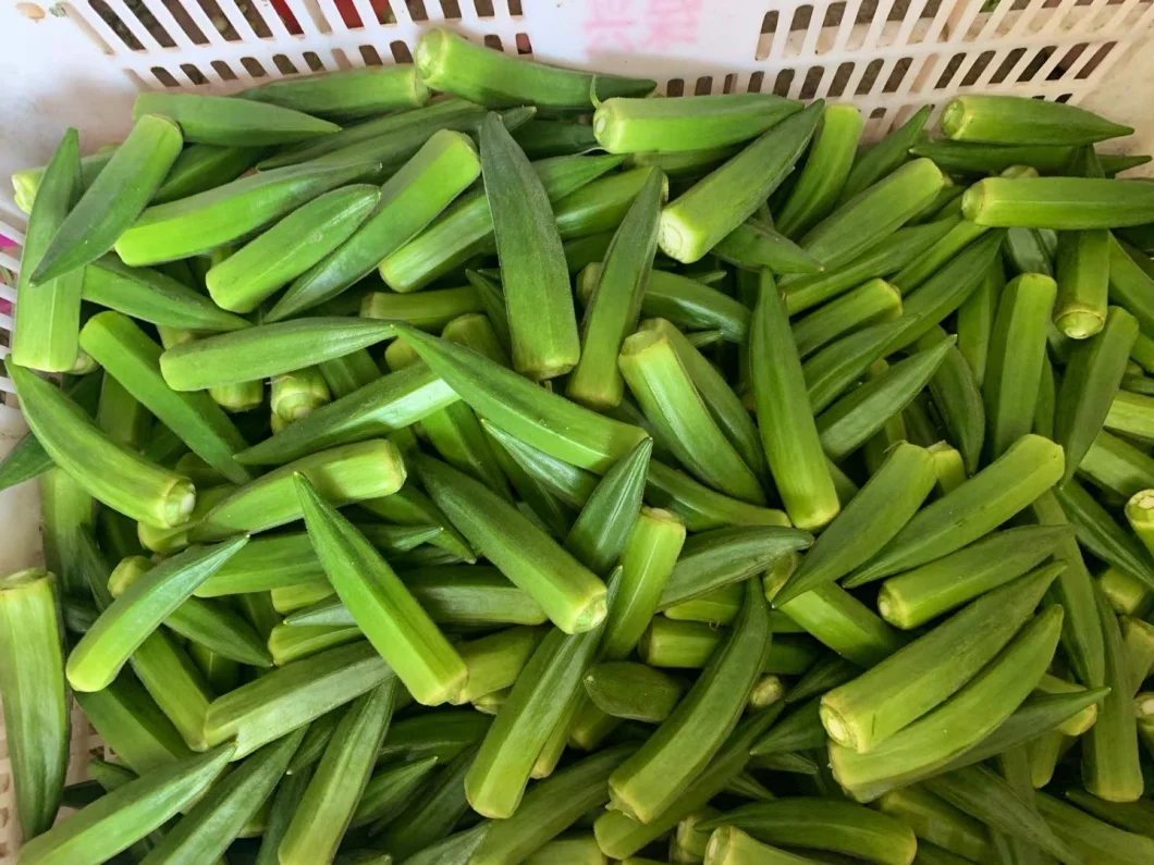 Health Food IQF Frozen Whole Okra with Premium Quality
