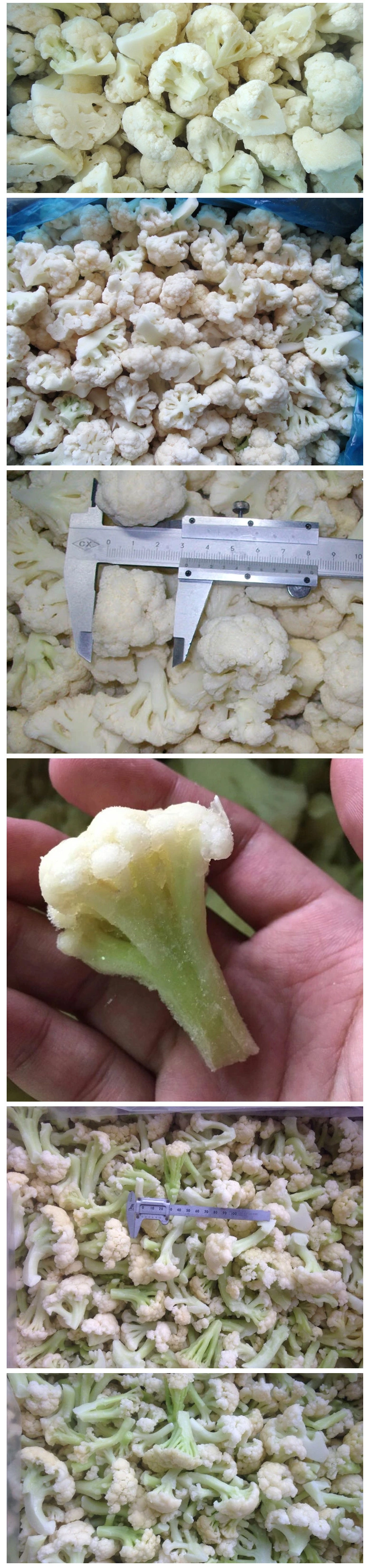 Wholesale IQF Processed Frozen Cauliflower
