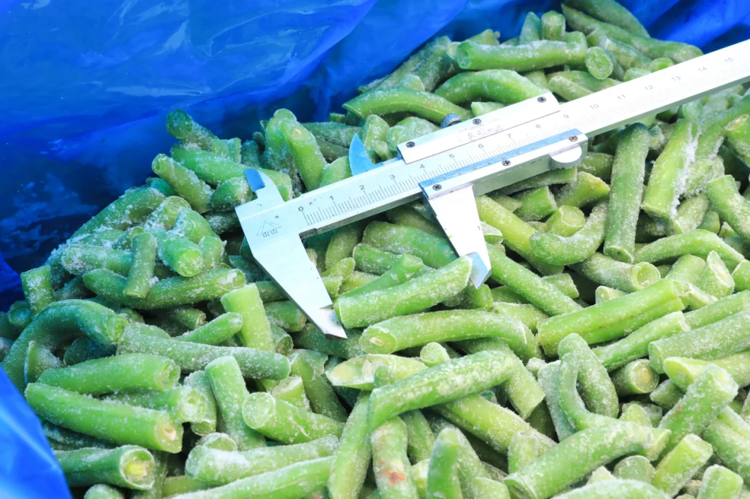 IQF Green Bean Cut with Great Quality Frozen Green Bean Cut