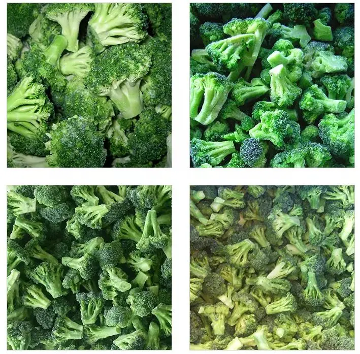 IQF Frozen Supply New Crop Green Broccoli