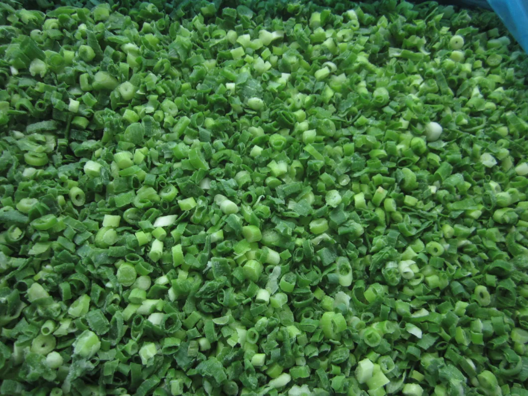 Top Quality and Texture Frozen Spring Onion IQF Green Onion