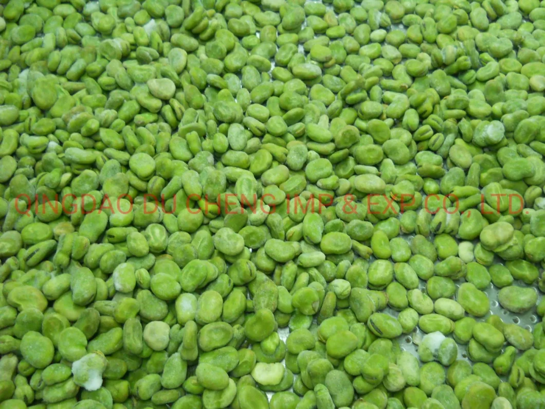 Dry Yellow Broad Beans, Frozen Green Broad Bean