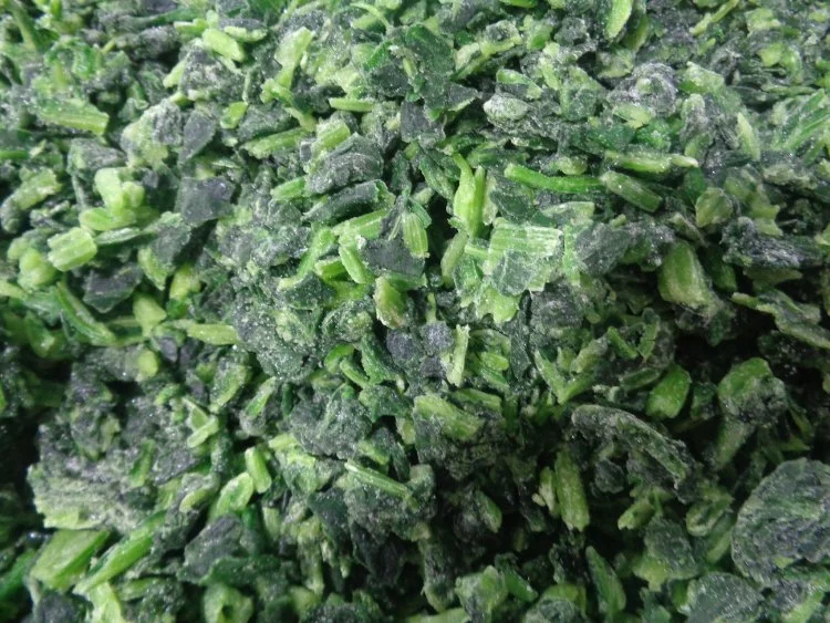 Nop EU Certified IQF Frozen Organic Chopped Spinach From China
