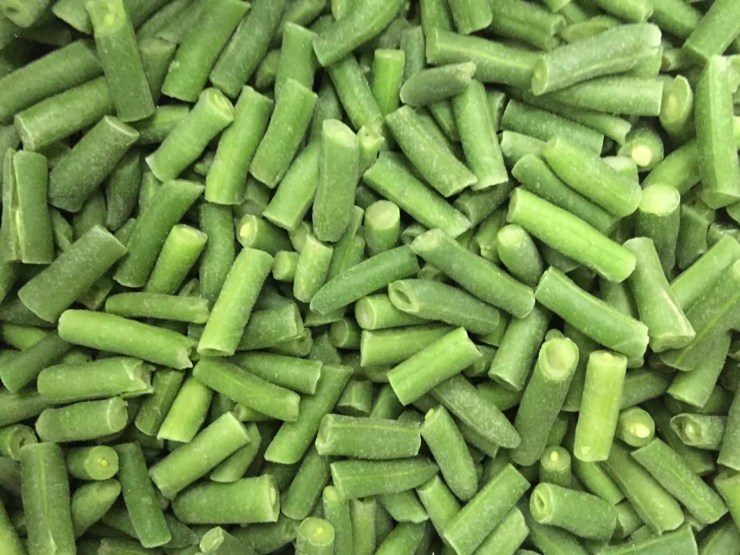 Bulk Production IQF Frozen Green Bean Cut