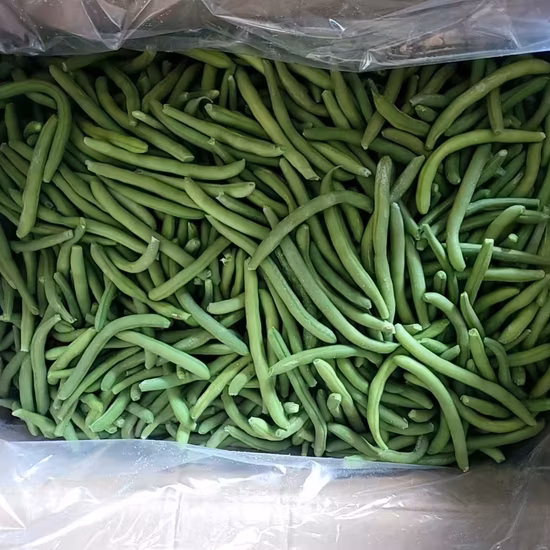 IQF Frozen Vegetable Fava Green Broad Beans with EU Standard for Exporting White Broad Beans Kernels