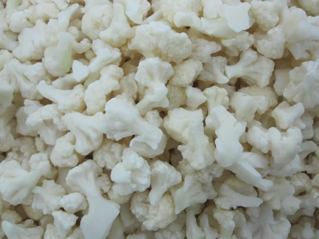 Factory Sale Directly New Crop Fresh Frozen Vegetable IQF Cauliflower