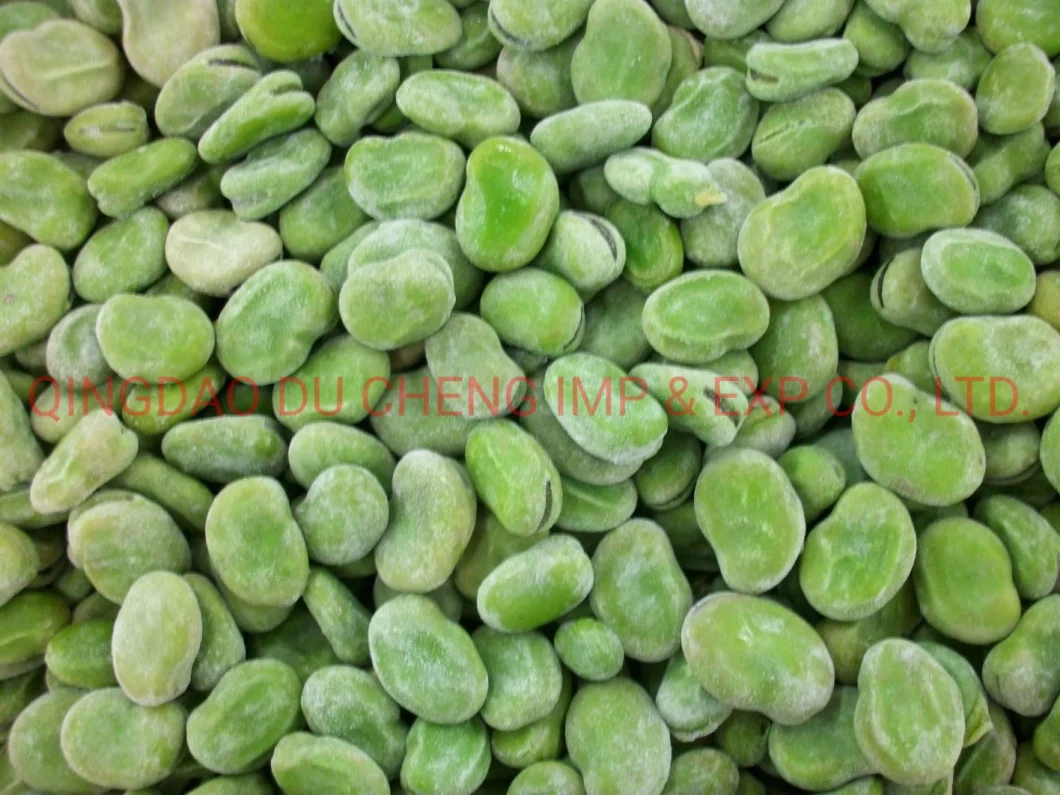Frozen Fava Beans, Frozen Yellow Broad Beans, Frozen Green Broad Bean