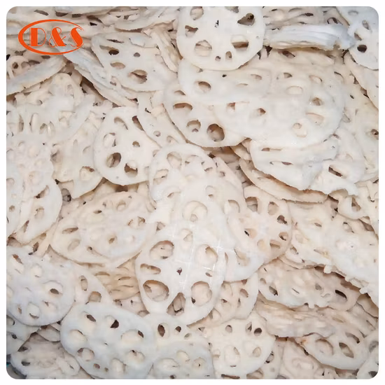 Factory of Frozen Lotus Root Random Cut