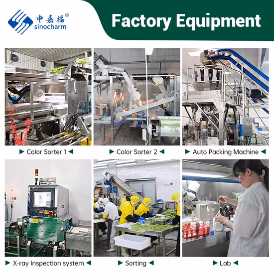 China Natural Frozen Whole Yellow Okra IQF Okra for EU Exported Standard