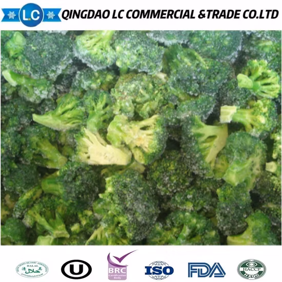 Frozen Broccoli Frozen Broccoli Supplier Grade a Export Wholesale High Quality Organic IQF Frozen Fresh Broccoli