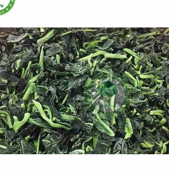 IQF New Crop Frozen Top Quality Chopped Spinach