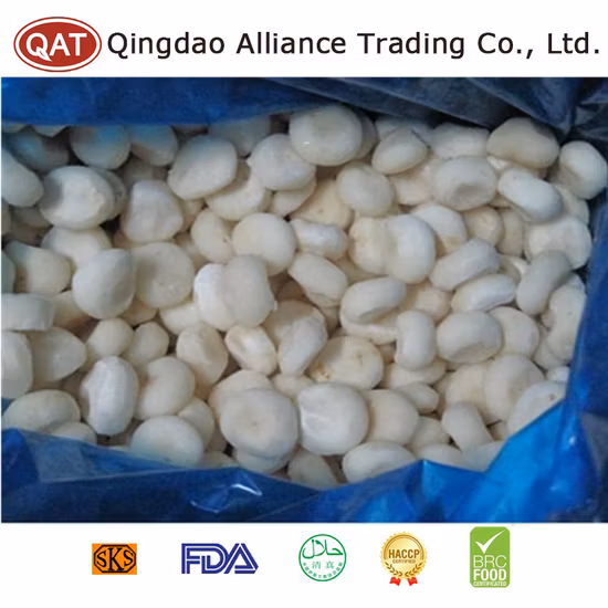 Top Quality Frozen Whole Water Chestnut